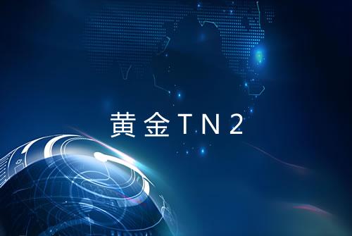 黄金TN2