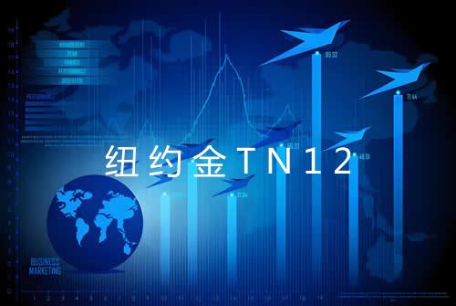纽约金TN12