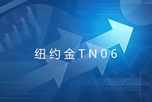 纽约金TN06