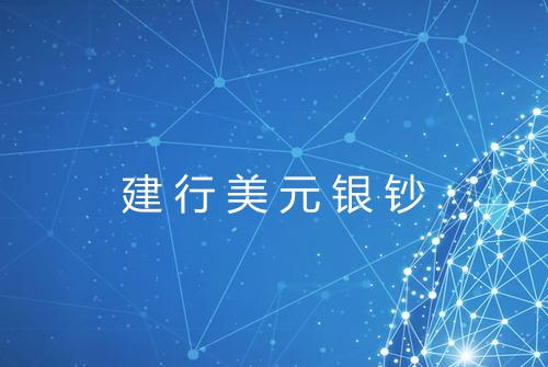 建行美元银钞