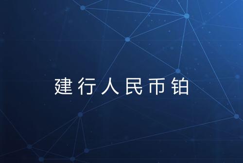 建行人民币铂