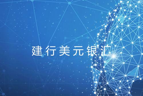 建行美元银汇