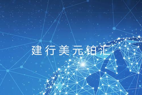 建行美元铂汇